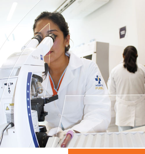 ¿Qué es el ISO?